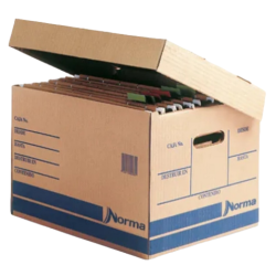 CAJA P/ARCHIVO NORMA No....