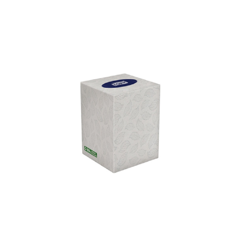 FACIAL FAMILIA TORK CUBO HT (16) 75091